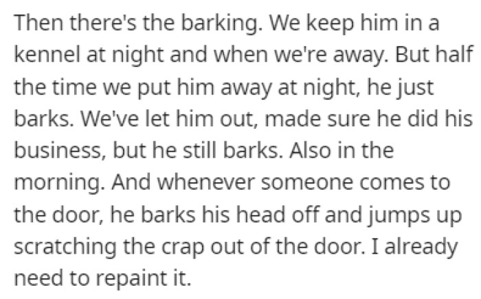 The dog has proven to be nothing but a nightmare since the mother-in-law never trained him