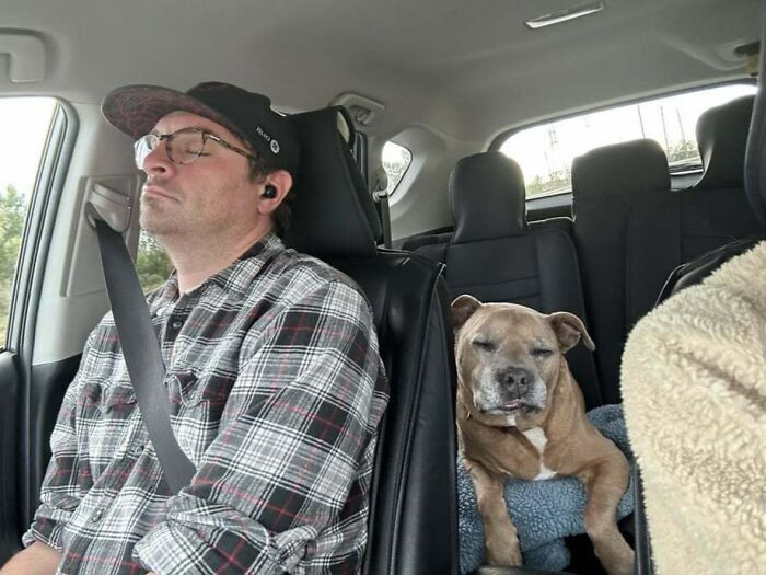 "My Wife Says Our Dog And I Look The Same While Napping"