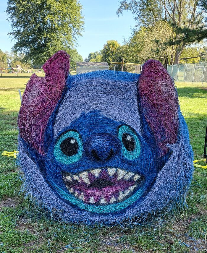 Stitch