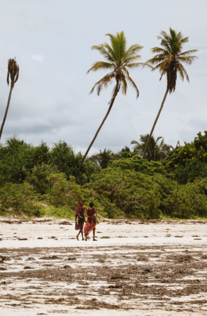 The North Sentinel Island People