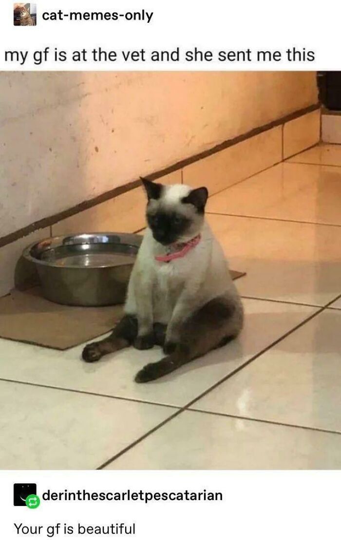 6. Blessed Girlfriend