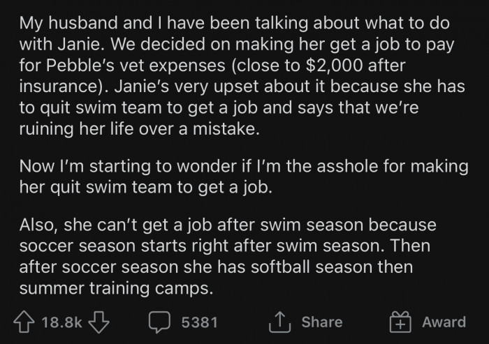 OP was unsure whether they made the right decision, so they decided to ask the r/AmItheA**hole community: