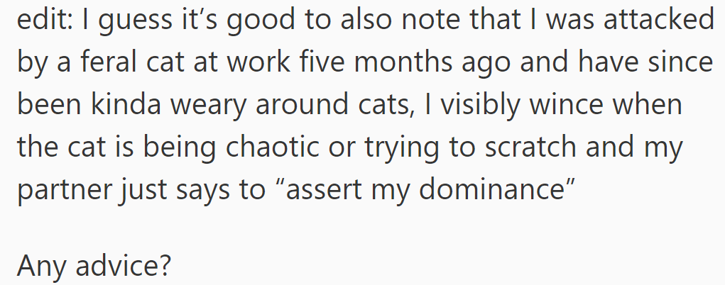 After a feral cat attack, she's uneasy with their chaotic cat; her partner suggests asserting dominance.