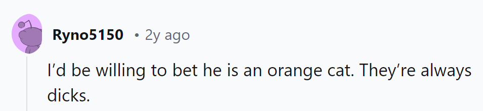 Seems like orange cats have mastered the art of mischief. It's like they come with a built-in attitude!