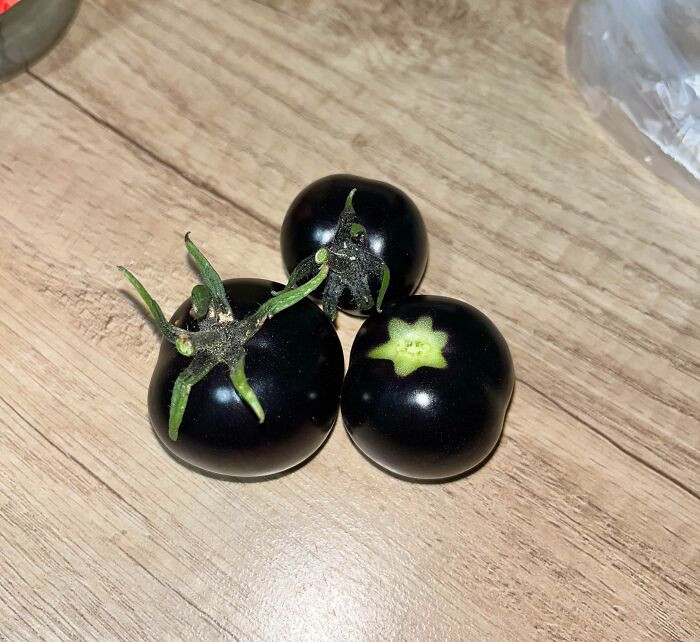 "My Grandfather Grew Black Tomatoes"