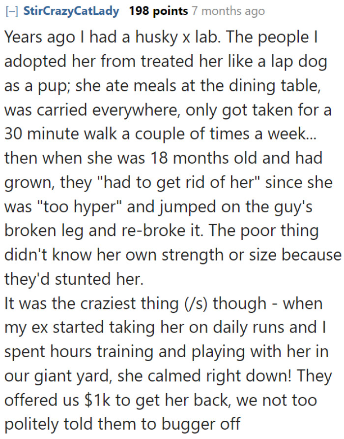 Owners get rid of a dog that caused them trouble.