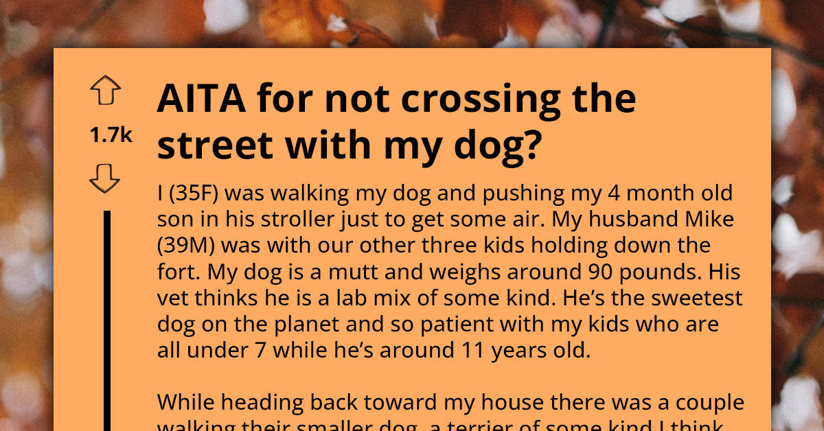 Rude Dog Owners Call Out Woman Walking Her Lab Mix  For "Breaking The Rule" About Crossing The Street
