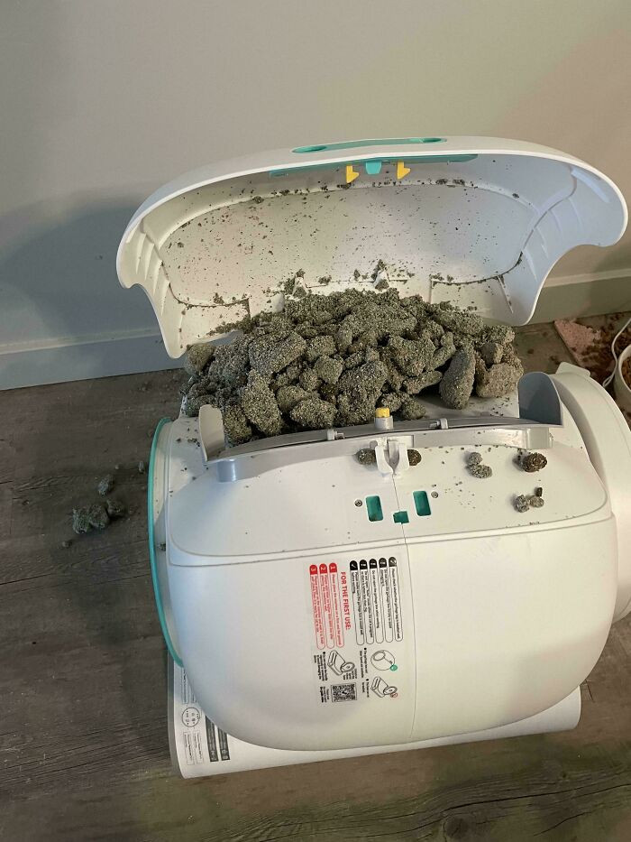 "Forgot To Put A New Trash Bag In My Automatic Litter Box When I Cleaned It Last Week"