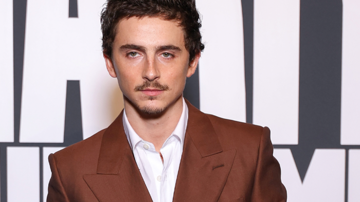 Timothée Chalamet featured in an article about celebrity ethics and social accountability.