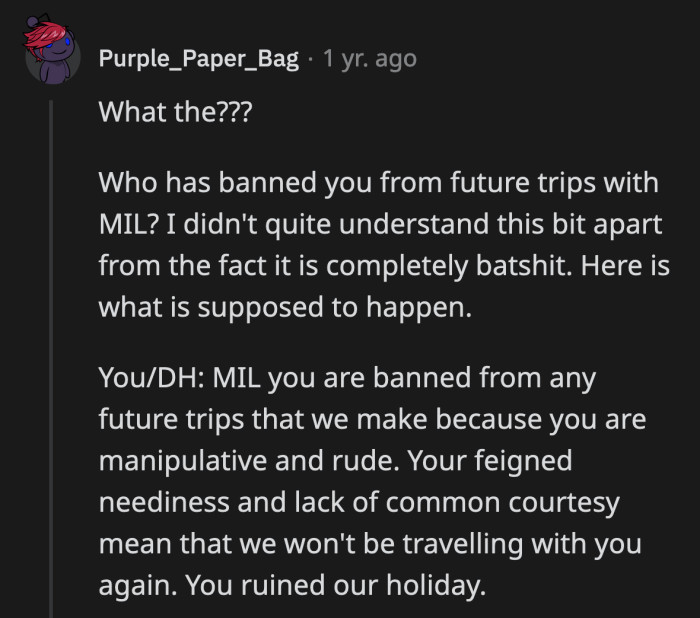 When did the family vacation turn into MIL's big adventure anyway?