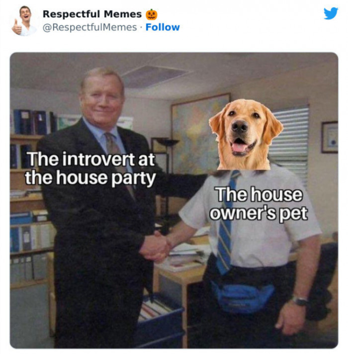 36. Pets Are the Best Part of Parties