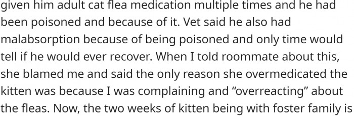 The roommate poisoned the cat by giving it adult flea medication