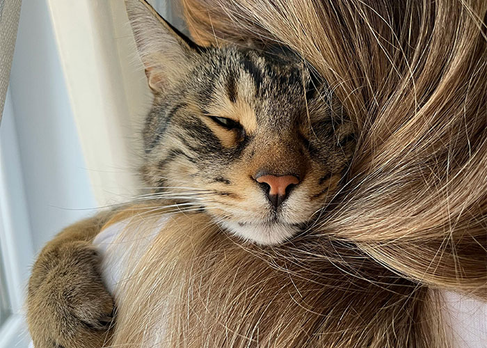 1. It’s more than losing a pet—it’s losing a piece of your soul you never knew you needed.