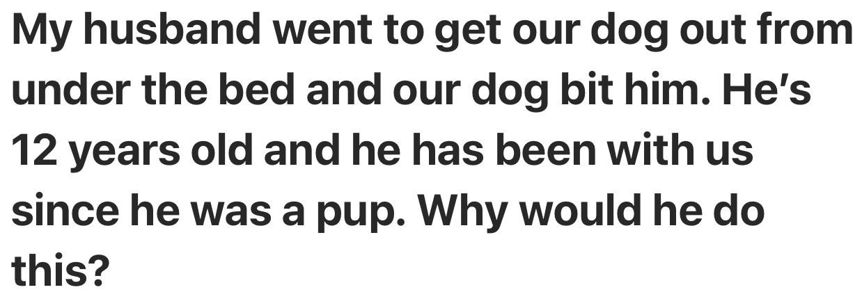 This pet parent needs advice