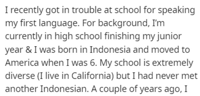 OP Recently Got in Trouble for Speaking in Their Mother Tongue at School
