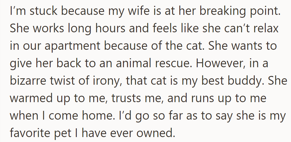 His wife, stressed by the cat's behavior, wants to return her, but the cat’s his favorite pet.