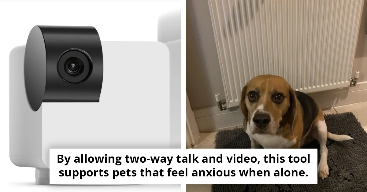 Pet owners are buzzing about an unexpected feature of the Amazon pet cam!