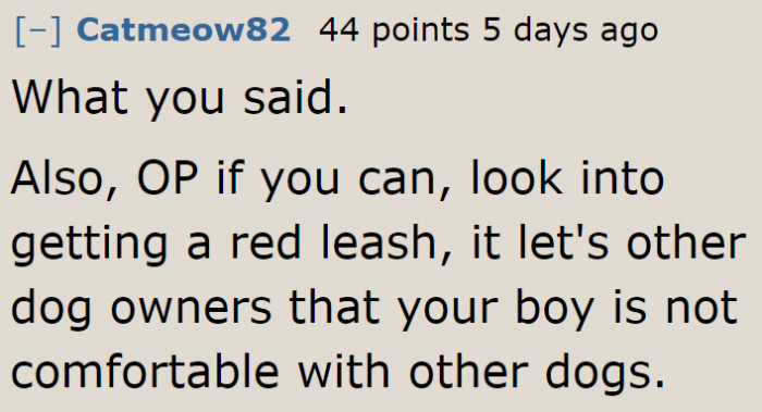 Having a red leash can tell people to stay away from the dog.