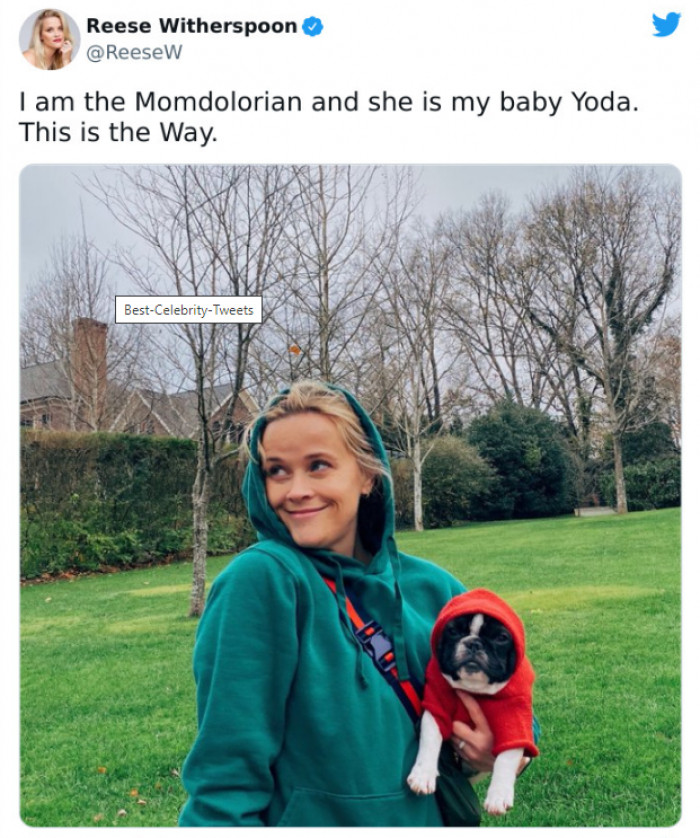 34. The adorable way.