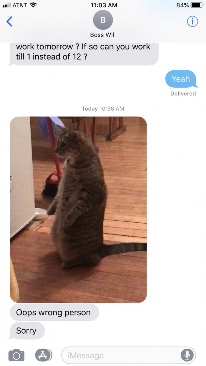 19. There's never a wrong person to send a cat picture to