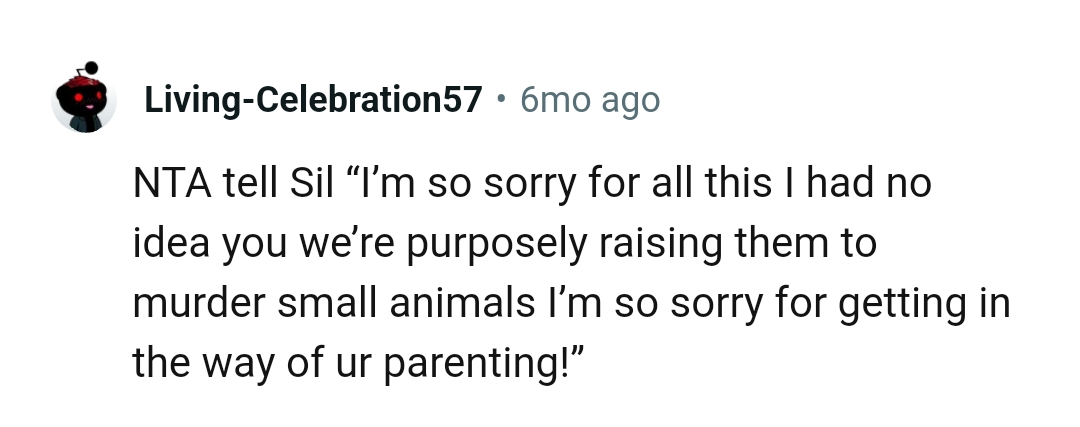 This Redditor suggests what the OP should tell her SIL