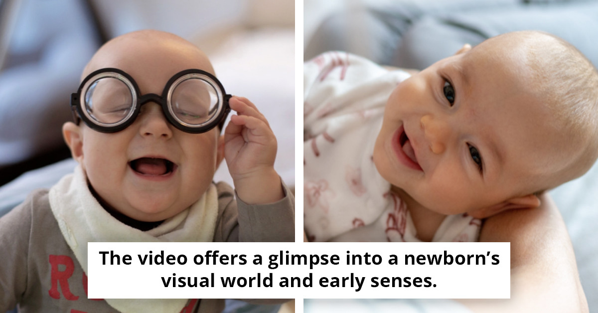 Revealing Simulation of Newborns' Vision Leaves Viewers Astonished