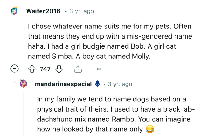 “I chose whatever name suits me for my pets. Often that means they end up with a mis-gendered name.”