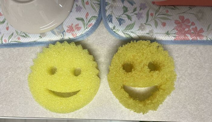 "Scrub Daddy I’ve Used For 2 Years vs. The New One I Just Got"
