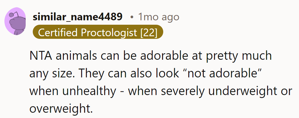 NTA. Animals ace any size, but extremes? Not a paw-sitive vibe for anyone, fur included.