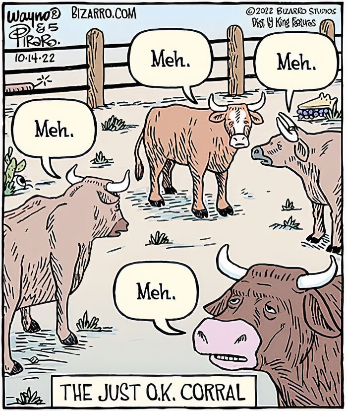 7. They all look very unimpressed by everything going on.