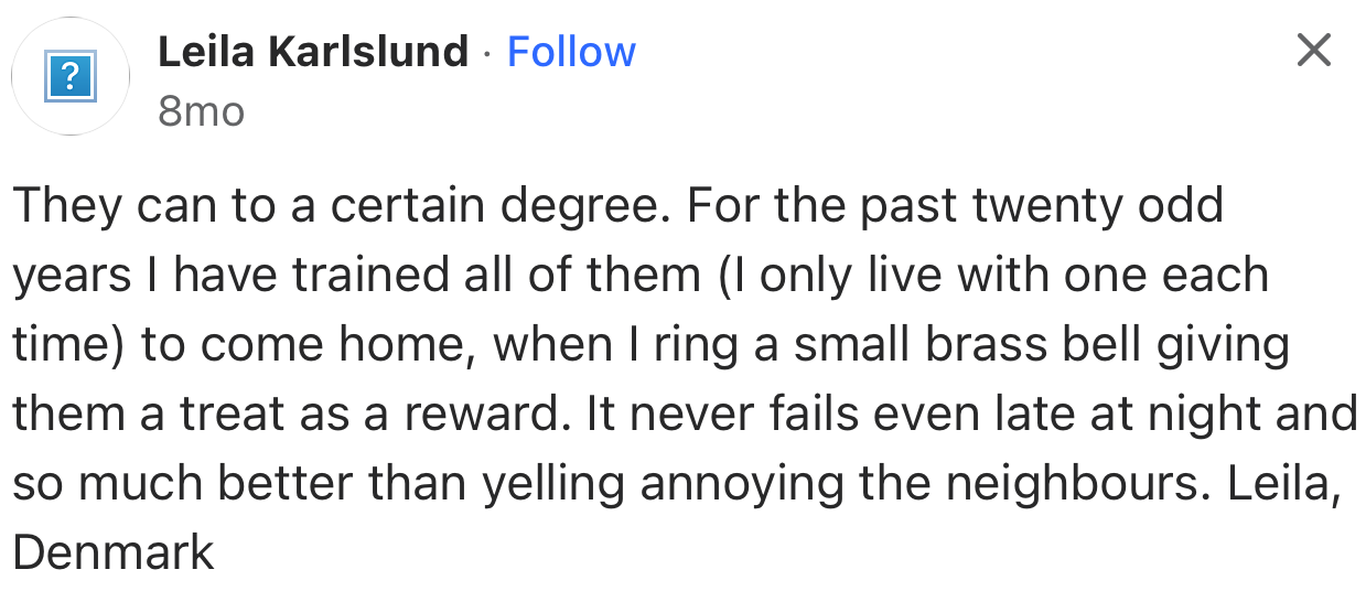 This User is a Real-Life Example of an Owner Who Took Time to Train Their Cats