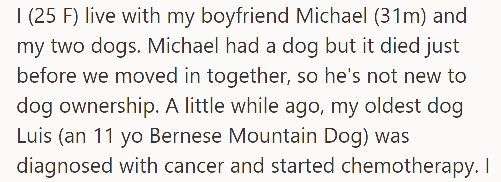 OP lives with Michael and two dogs. Luis, her 11-year-old Bernese, is undergoing chemotherapy.