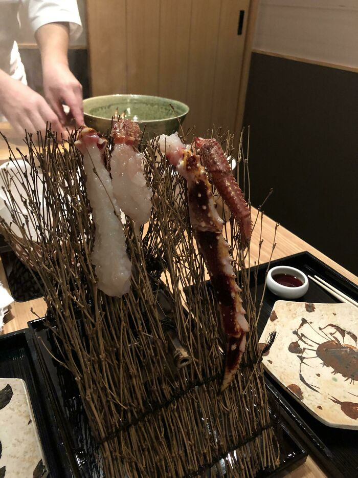 10. The Raw King Crab on a Fence