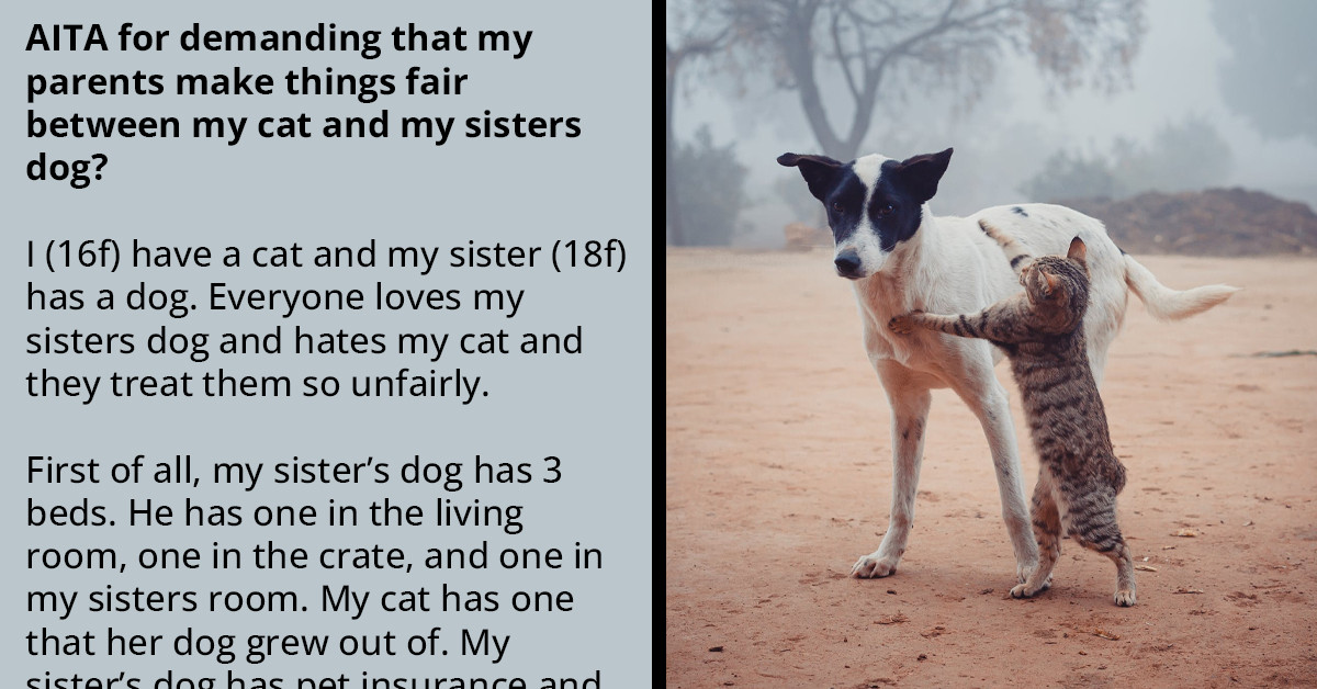 "Justice For My Cat"- Teen Believes Her Cat Is Wronged By Receiving "Only Above Average" Care, While Her Sister's Dog Is Living The Best Life