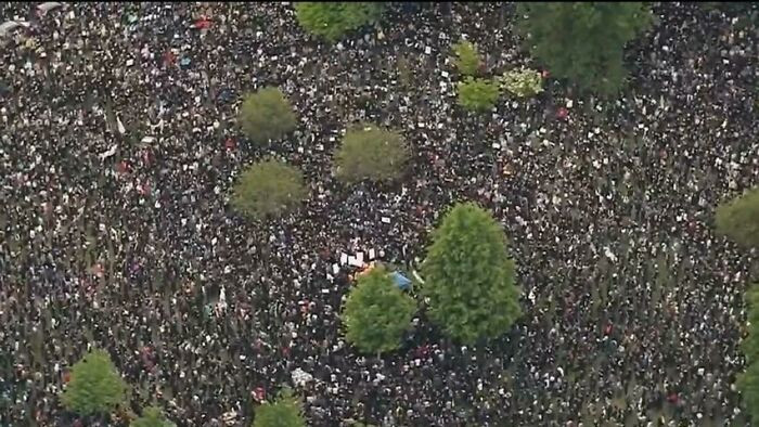 "I Initially Thought These Were Small Bushes In A Gravel Flower Bed. Nope. Boston Protest 2020"