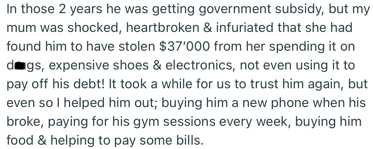 No One in the Family Trusts OP’s Brother Due to His Reckless Lifestyle