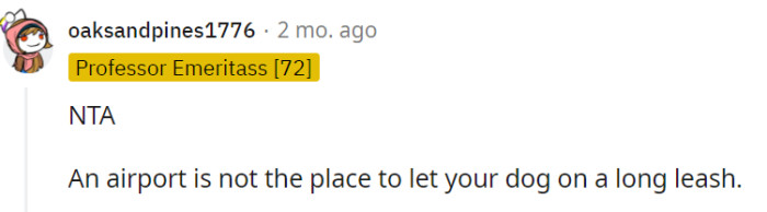 Airports are crowded and busy, making it unsuitable for dogs to roam on long leashes without proper control.