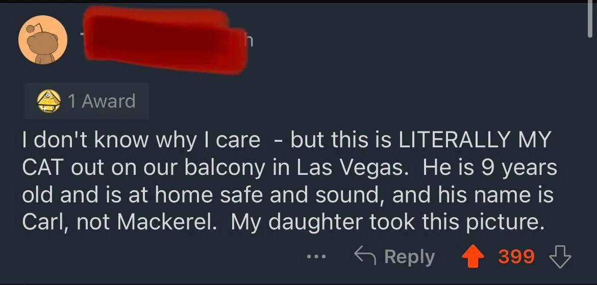 The real owner of the cat had to step in and debunk the post