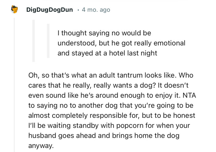 “NTA for saying no to another dog that you’re going to be almost completely responsible for.”