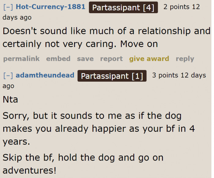 Getting a dog was an excellent decision.