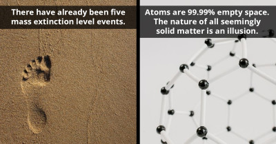 30 Scary Scientific Facts Uncovered By Members Of This Online Community