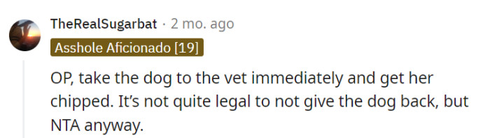 Taking Luna to the vet and getting her chipped is a smart move, and even if the legality is murky, they are still NTA.