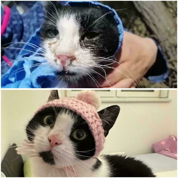 "Before And After Adoption"