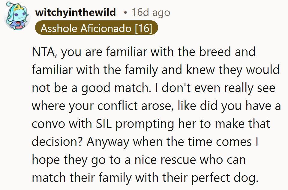 Matchmaker, matchmaker, make them a doggie match!