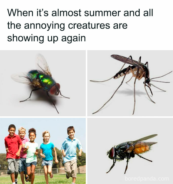 25. They Are Irritating