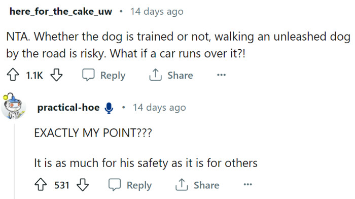 Walking an unleashed dog by the road is risky, regardless of whether it is trained or not