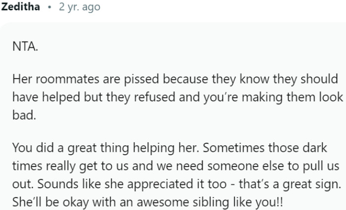 Roommates realize their negligence as OP steps in to help sister in crisis