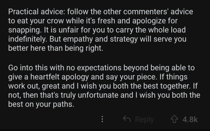 OP should have some empathy and apologize for snapping.