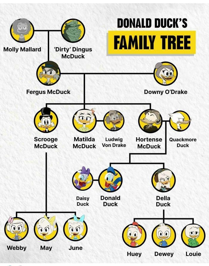 4. A Cool Guide To Family Tree Of Donald Duck