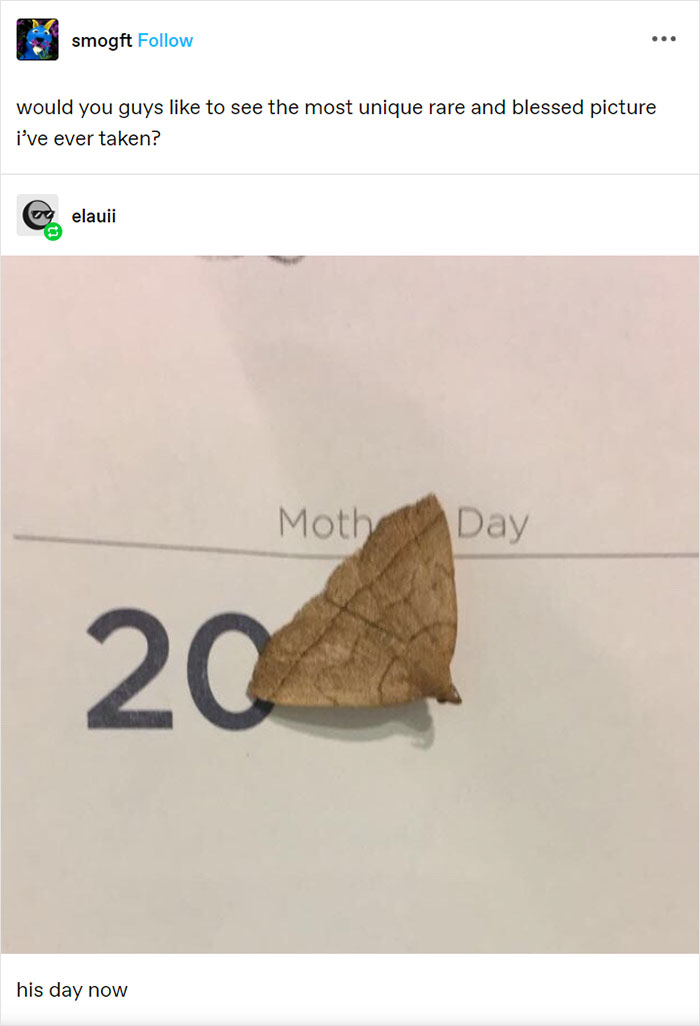 25. Moth Day